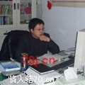 风醉柳