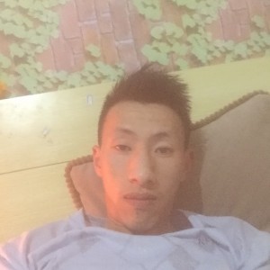 骆驼达美