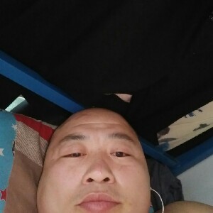 高大的河马