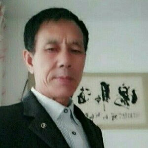 靓丽的灰狼