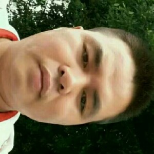 伶俐的蜗牛