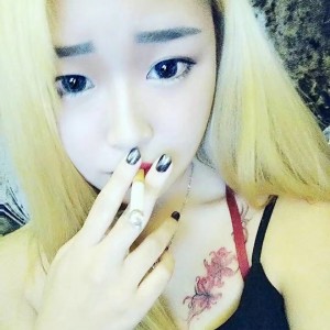 狸猫半梦