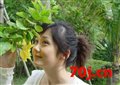 清水涟漪
