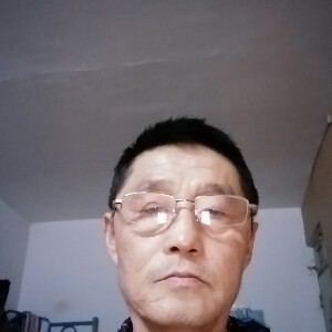 贪玩的白猫