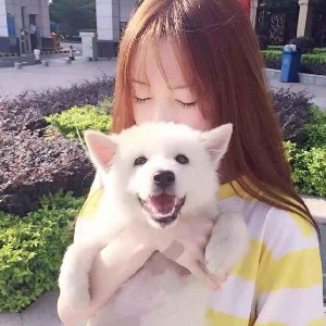 嘟可