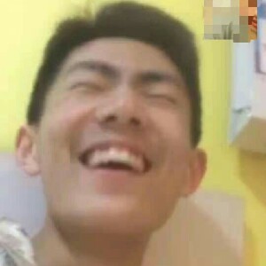 畅快的金毛