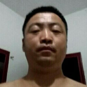 阔达的母鸡