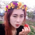 花非花j