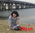 无味猪猪
