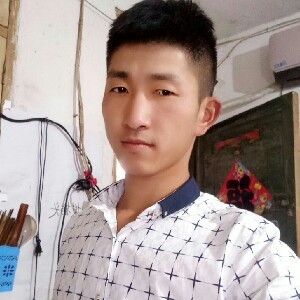 感性生活的羊