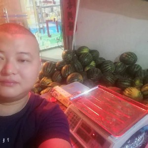 辛勤的红牛