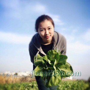 Innisfree