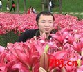 小细菌
