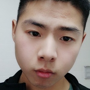 弹鸟