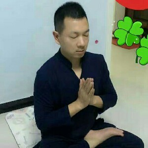 儒雅的小蜜蜂