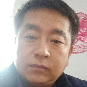 受伤的麻雀