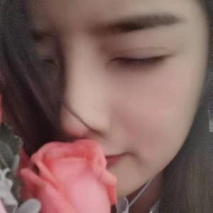 温婉的黄蜂