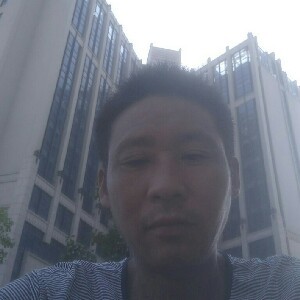 缥缈的长颈鹿