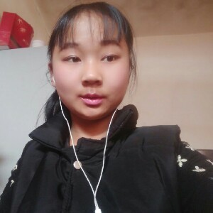 蒲公英520