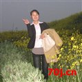 11会飞的鱼