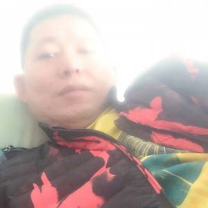 傻猫