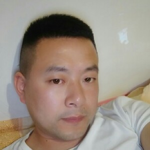 专注的胡萝卜