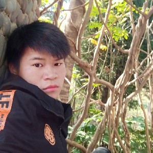 落雁归来
