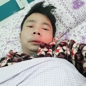 烂漫的便当