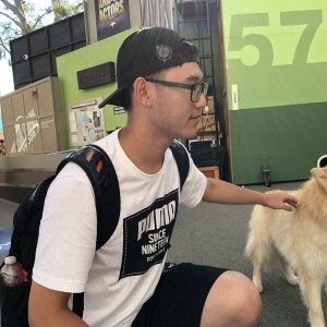 轮隐
