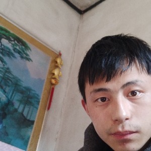 柳奇安哈哈哈