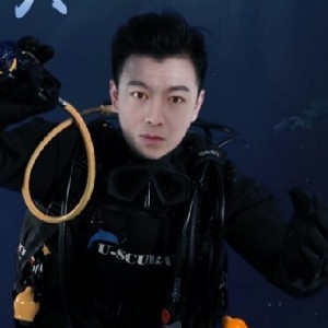 西伯利亚狼额