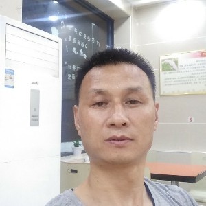 典雅的康乃馨