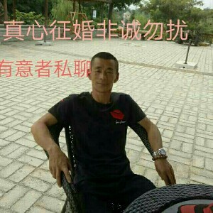 寂寞犇犇