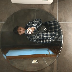 懦弱的向日葵