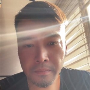松树数