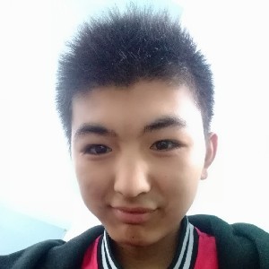 迷人的黑猫