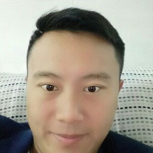龙飞蛇舞