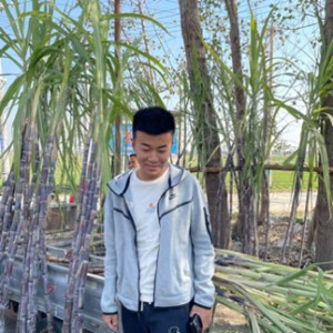 谢谢舅舅小