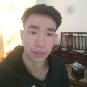 感性的羽毛