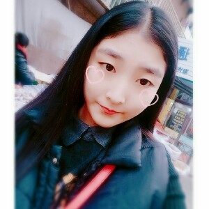 精致的猪婆