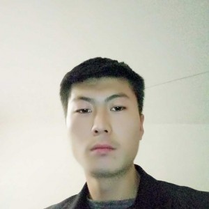 王鹰