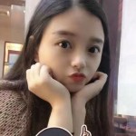 安静的枫叶
